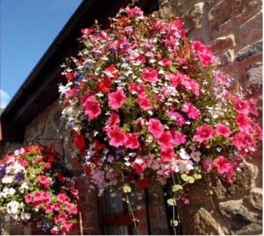 New Overlander Inn Tenby Exterior photo