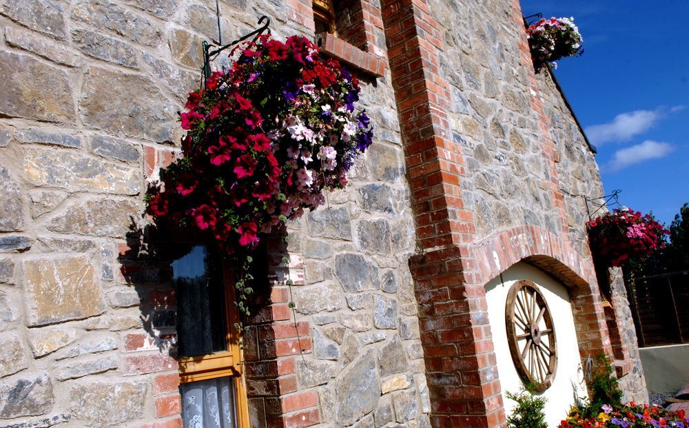 New Overlander Inn Tenby Exterior photo